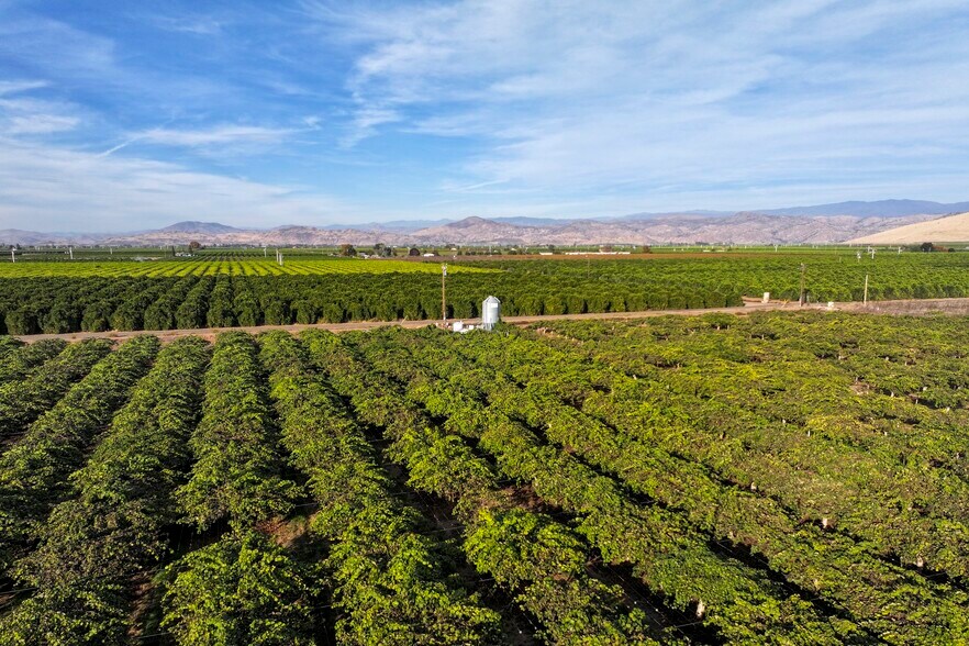 More Photos Of 39496 Road 136, Cutler Land For Sale