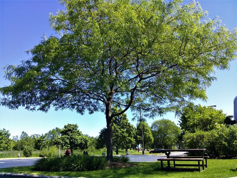 More Photos Of 105-195 W Central Rd, Schaumburg Loft Creative Space For Lease