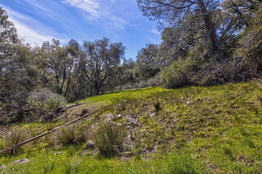 More Photos Of 18800 Charleston Rd, Volcano Land For Sale