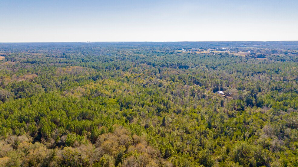 More Photos Of 12960 County Road 48, Silverhill Land For Sale