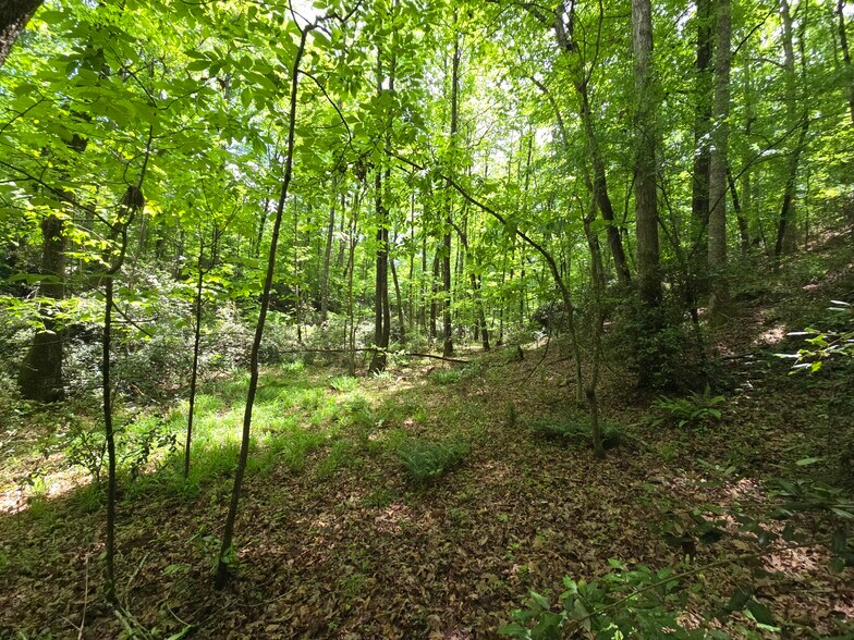 More Photos Of Davis Lake Rd @ Old Talbotton Rd, Thomaston Land For Sale