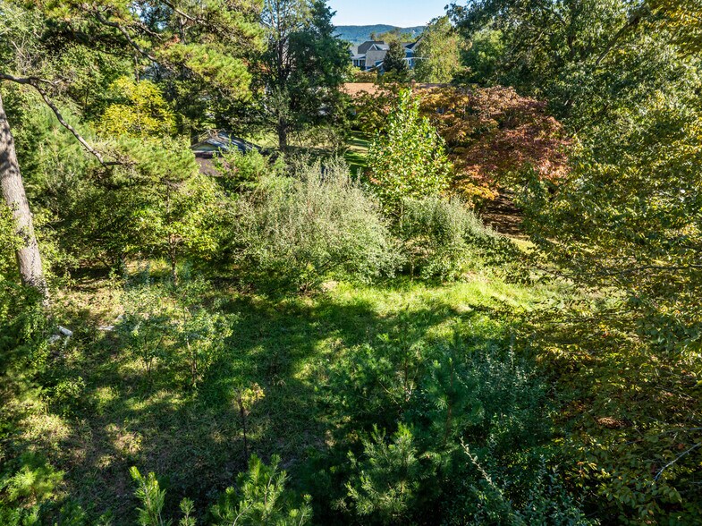 More Photos Of 1704 Old Brook Rd, Charlottesville Specialty For Sale