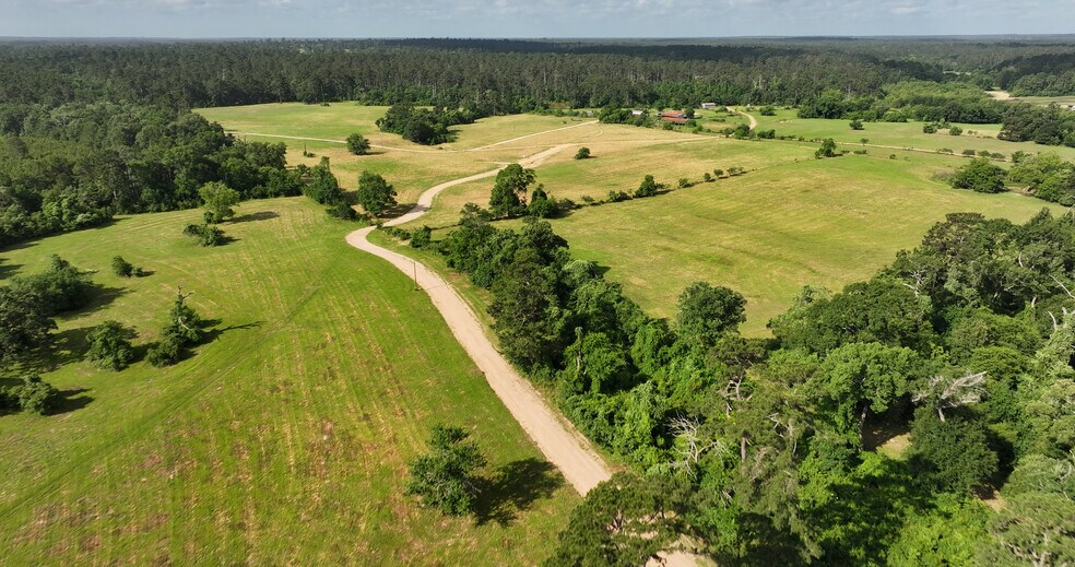 More Photos Of 2268 FM 1486, Montgomery Land For Sale