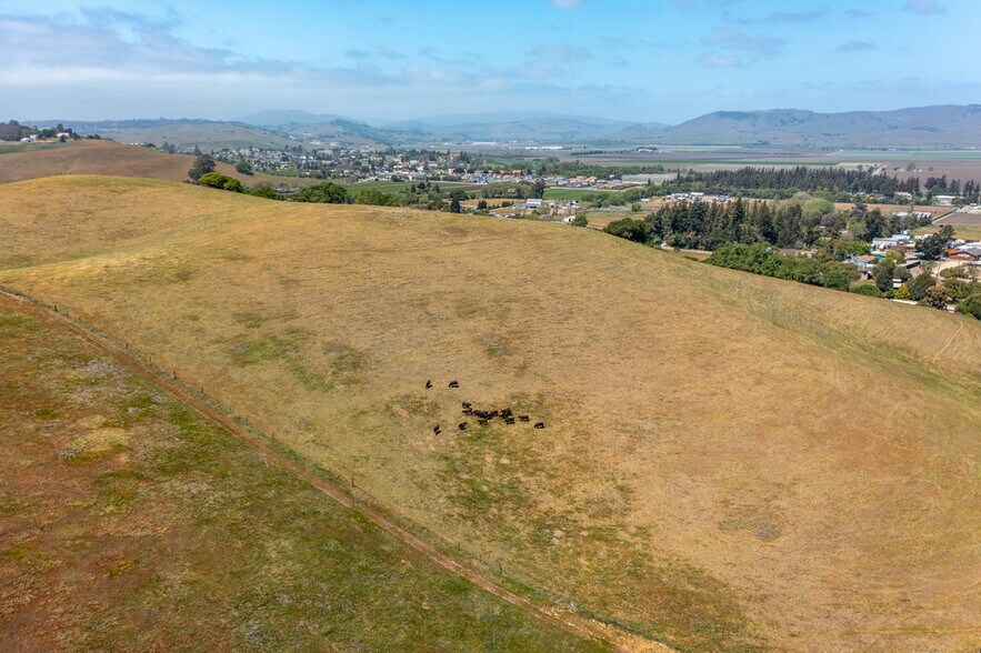 More Photos Of 333 Mission Vineyard, San Juan Bautista Land For Sale