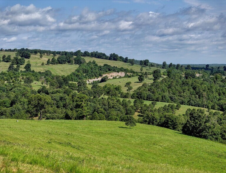 More Photos Of Hwy 65 and Old Hwy US 65, Omaha Land For Sale