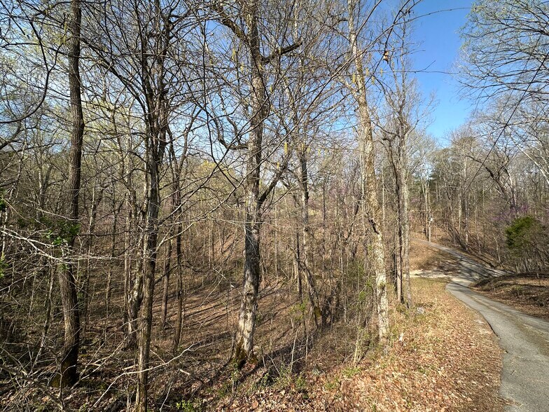 More Photos Of 7312 Highway 60, Georgetown Land For Sale