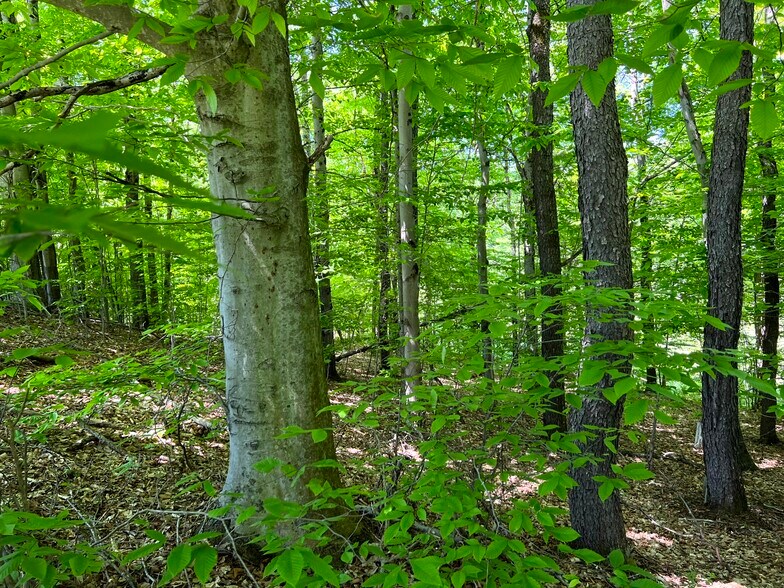 More Photos Of 5219 Rome Taberg Rd, Rome Land For Sale