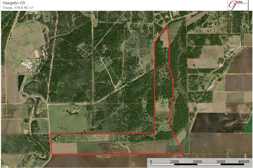 Primary Photo Of 1151 County Road 2615, Rio Medina Land For Sale