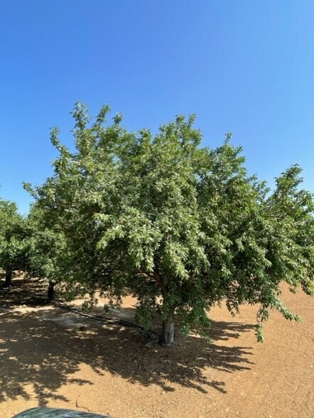 More Photos Of Draper Rd, Newman Land For Sale