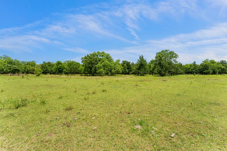 More Photos Of 10840 FM 442, Boling Land For Sale