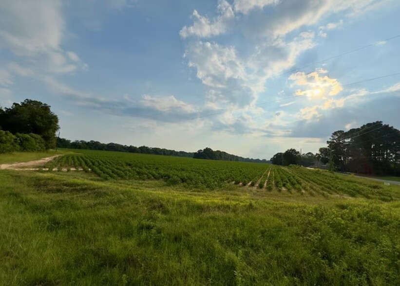 Primary Photo Of County Road 25 & Barrington Rd, Midland City Land For Sale