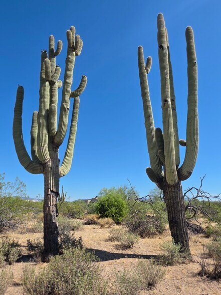 More Photos Of 31602 Black Cross #19 Rd, Scottsdale Land For Sale