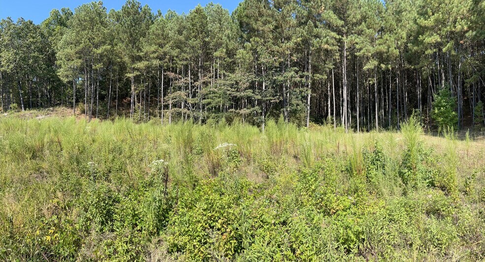 More Photos Of 0 Stone Mountain Hwy, Lilburn Land For Sale