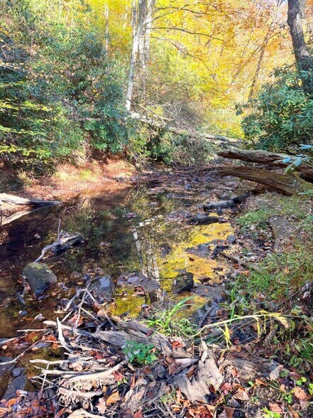 More Photos Of 0 Old Pluto Rd, Shady Spring Land For Sale