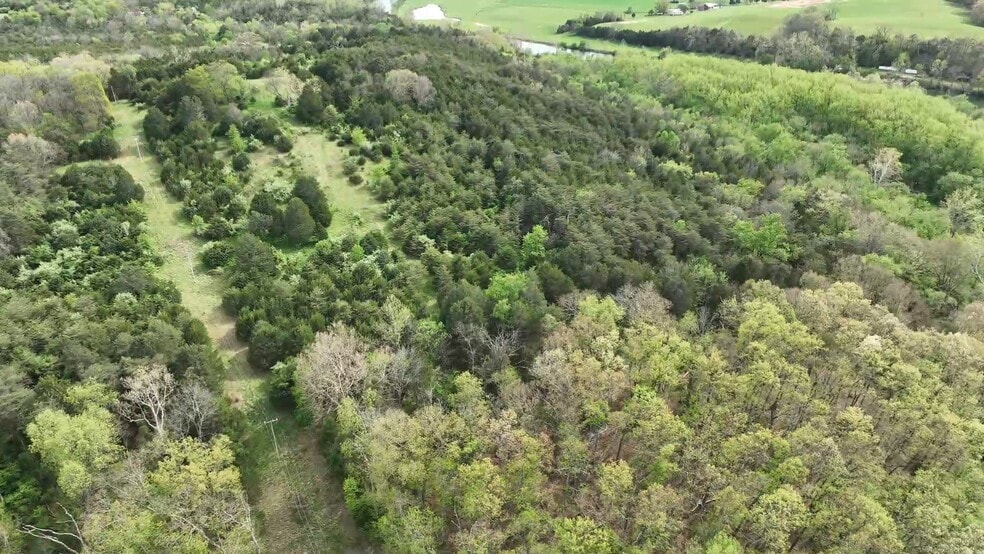 Primary Photo Of 1173 Backwash Rd, Luray Land For Sale