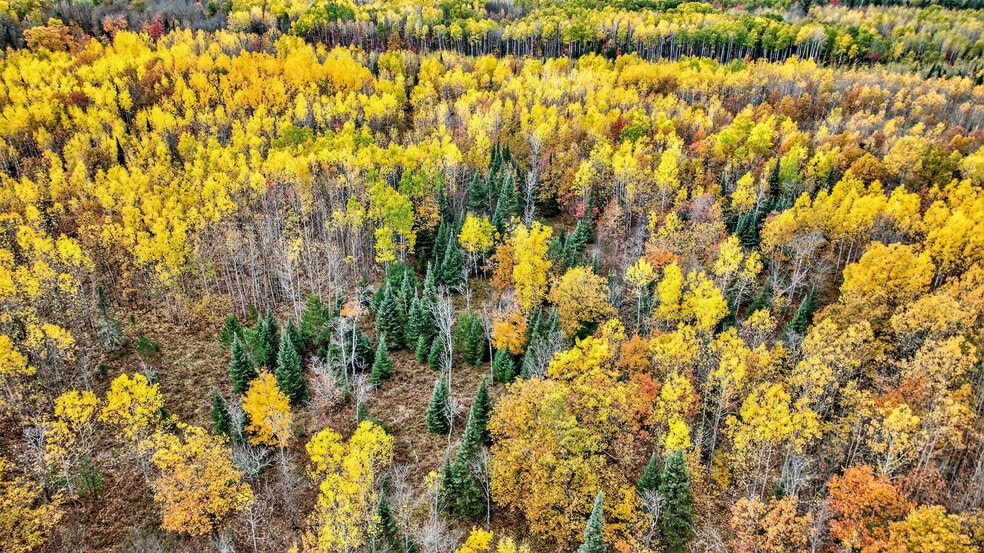 More Photos Of 1495 Bain Rd, Brule Specialty For Sale