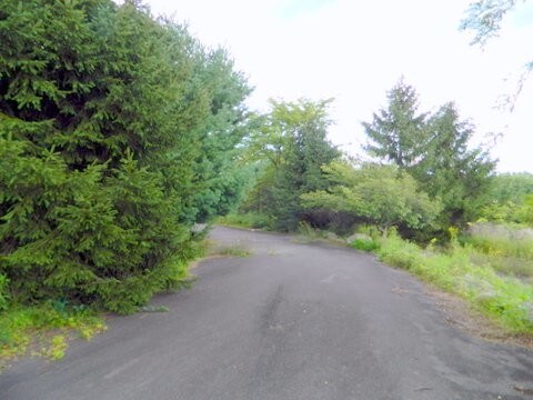 More Photos Of 1744 Route 611, Mount Pocono Land For Sale