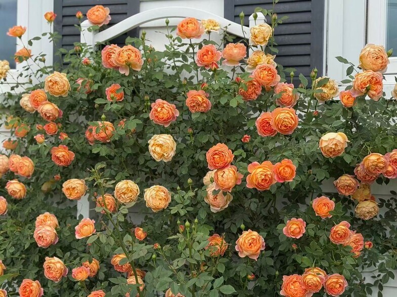 More Photos Of 535 Worcester Rd, Framingham Loft Creative Space For Lease