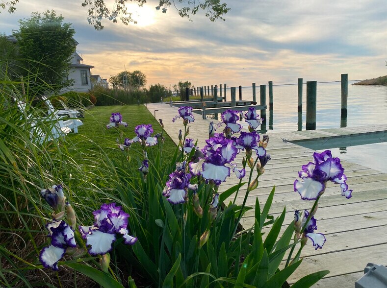 More Photos Of 21384 Coopertown Rd, Tilghman Hotel For Sale