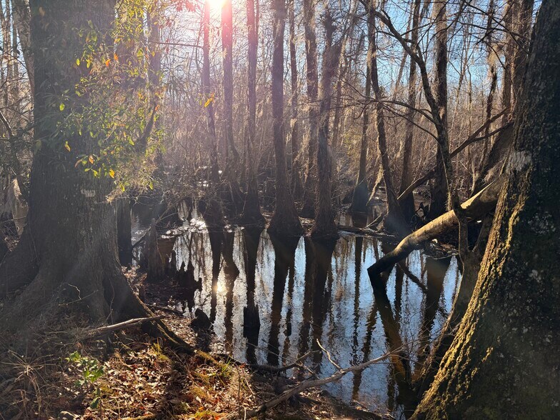 More Photos Of Repose Drive Rd, Branchville Land For Sale