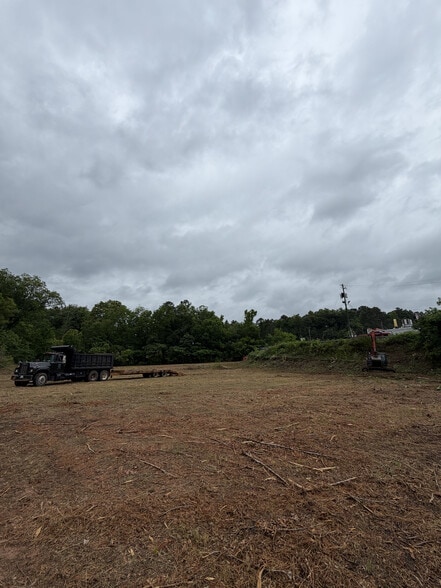 More Photos Of I-59 FREEWAY & SPRINGVILLE, Springville Land For Sale