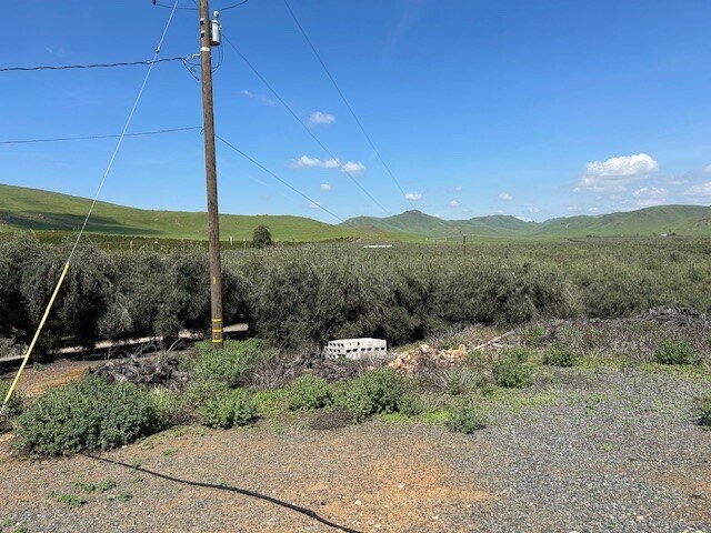 More Photos Of 24257 Ave 234, Lindsay Land For Sale