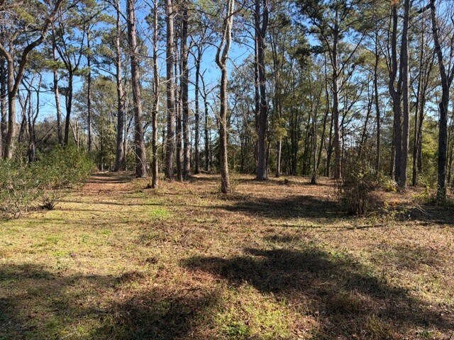 More Photos Of Louvinia Dr, Tallahassee Land For Sale