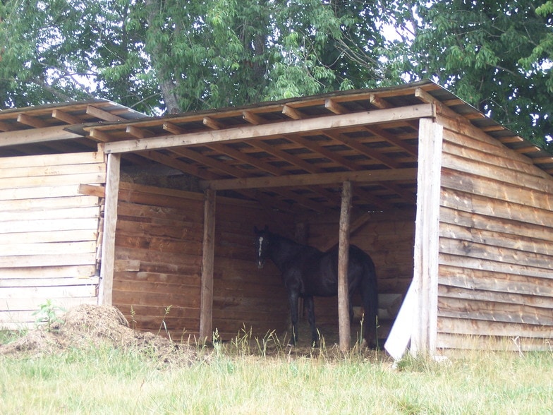 More Photos Of 6156 Mount Olive Church Rd, Morganton Land For Sale