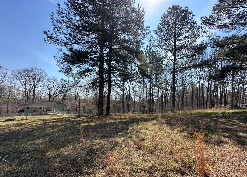 More Photos Of 7312 Highway 60, Georgetown Land For Sale