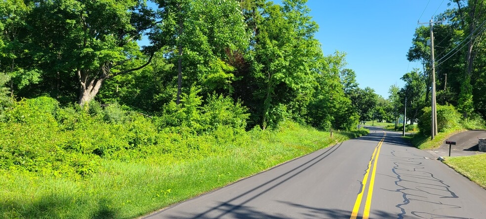 More Photos Of 81 Pocono Rd, Brookfield Land For Sale