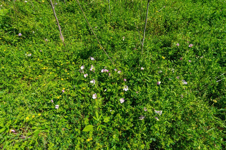 More Photos Of 0 FM 1161, Hungerford Land For Sale