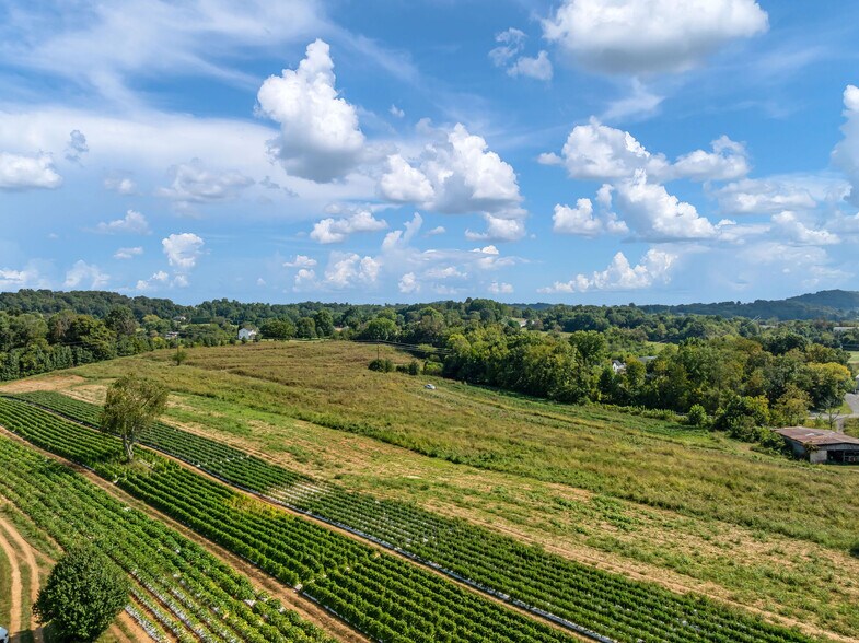 More Photos Of 370 Roy Martin, Johnson City Land For Sale