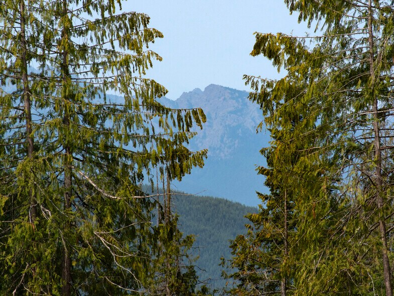More Photos Of 319 Reservoir rd, Sequim Land For Sale