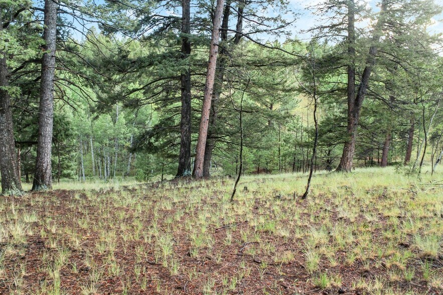 More Photos Of 131 & 67 Lost Lake Cir, Divide Land For Sale