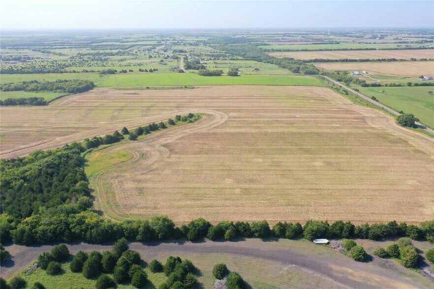 More Photos Of 55 Acres County Road 697, Farmersville Land For Sale