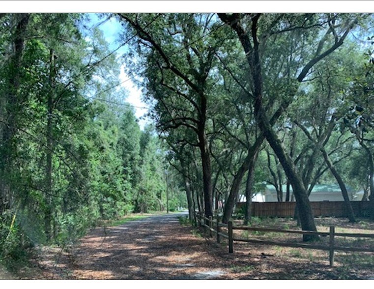 More Photos Of Hwy 331, Freeport Land For Sale