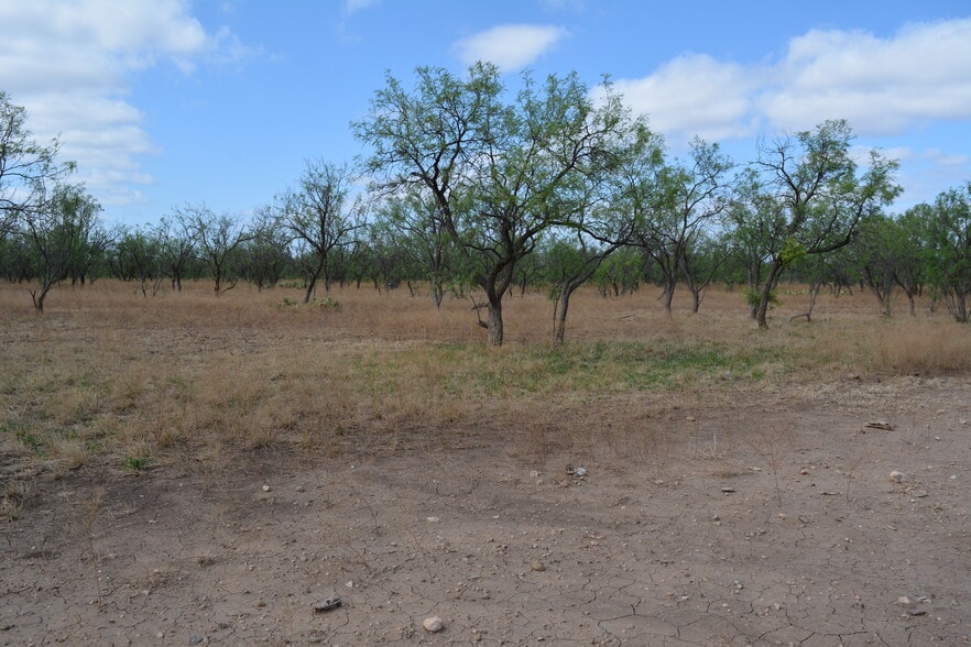 More Photos Of CR 1329, Paint Rock Land For Sale