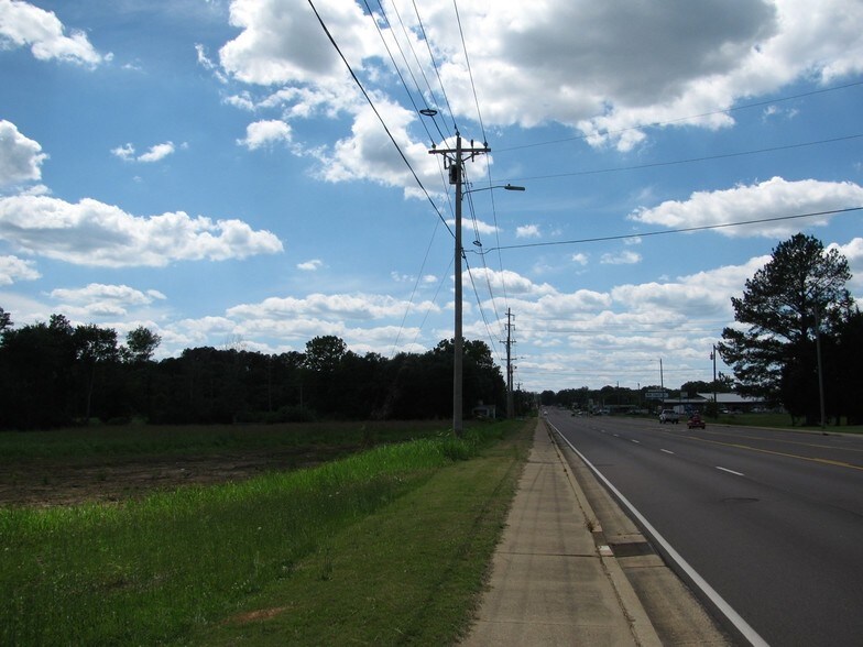 More Photos Of 314 S Palmer St, Adamsville Land For Sale