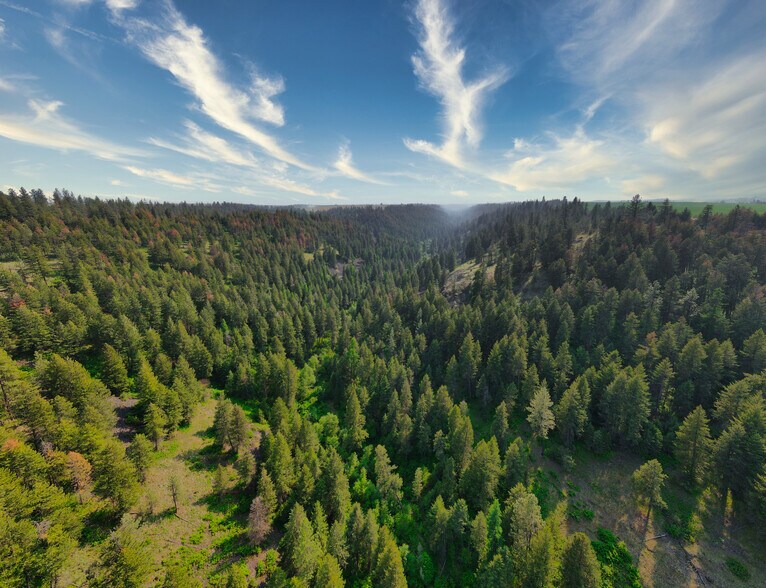 More Photos Of 45XXX Devore Rd, Davenport Land For Sale