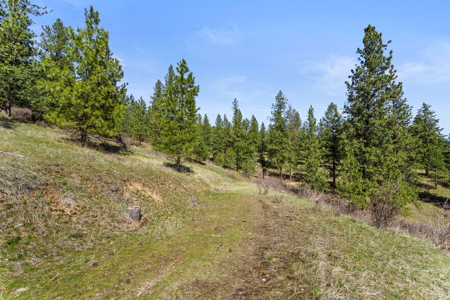 More Photos Of 15809 N Scribner Branch Rd, Spokane Land For Sale