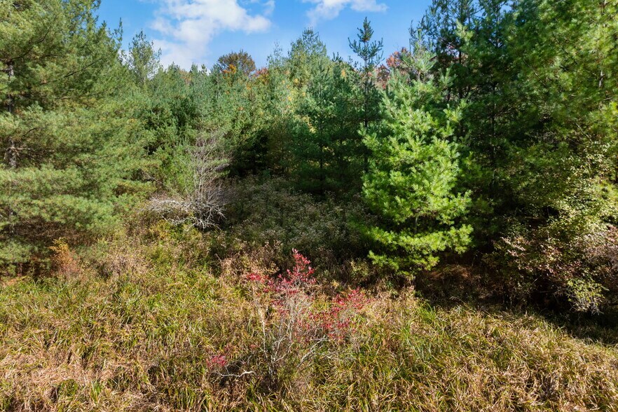 More Photos Of 378 Gregory Rd, Monticello Land For Sale