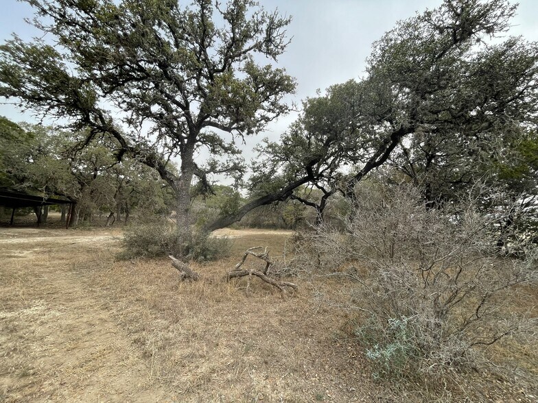 More Photos Of 10151 State Highway 16 S, Pipe Creek Office Residential For Sale