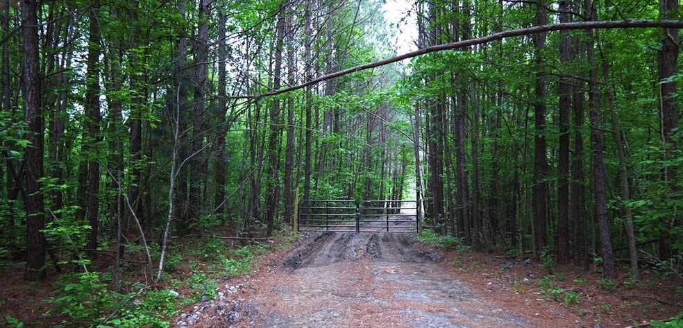 Primary Photo Of 2680 River Rd, Ellenwood Land For Sale