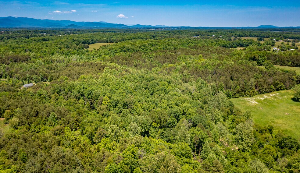 More Photos Of 1245 Carpenters Mill Rd, Ruckersville Land For Sale