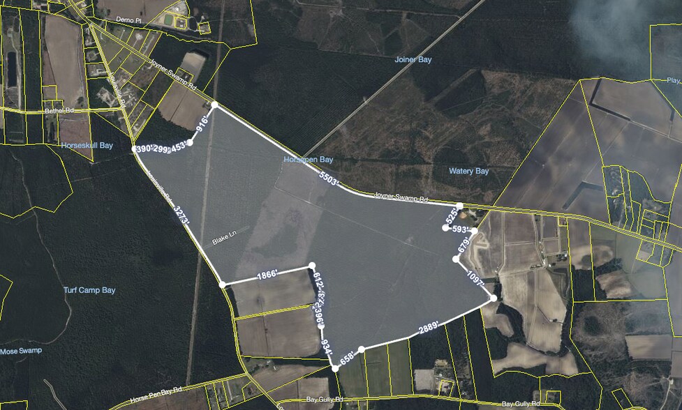 More Photos Of 0000 Joyner Swamp Rd, Galivants Ferry Land For Sale