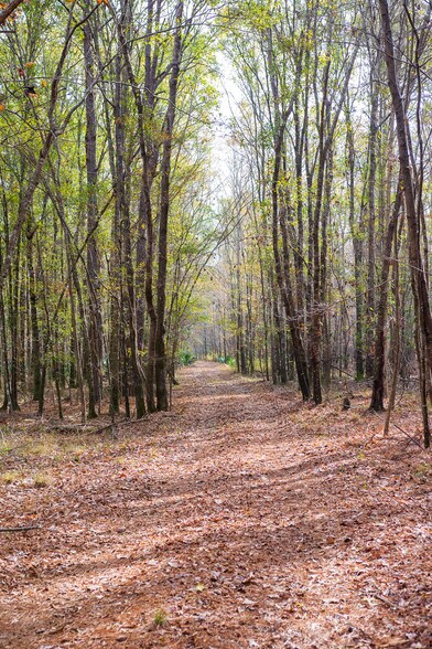 More Photos Of 409 Windward Ave, Orangeburg Land For Sale