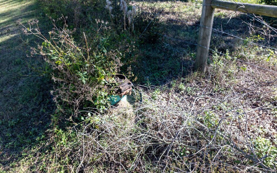 More Photos Of TBD Miller Street SE, Live Oak Land For Sale