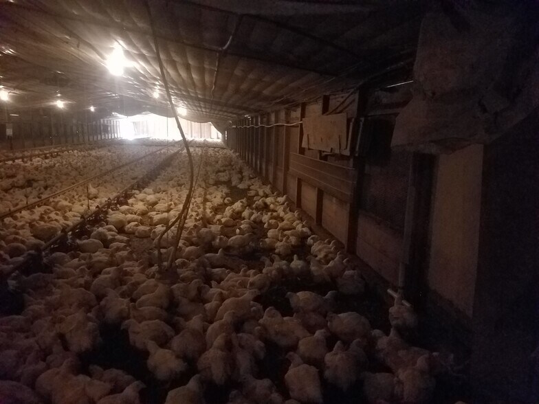 More Photos Of 18369 N. State Hwy 109, Scranton Land For Sale