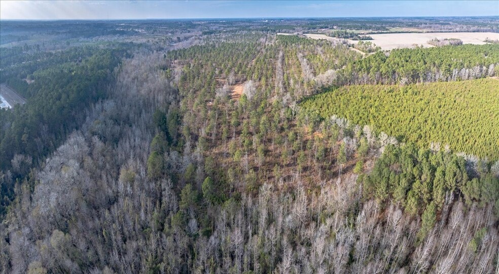 More Photos Of 3246 Belleville Rd, Orangeburg Land For Sale