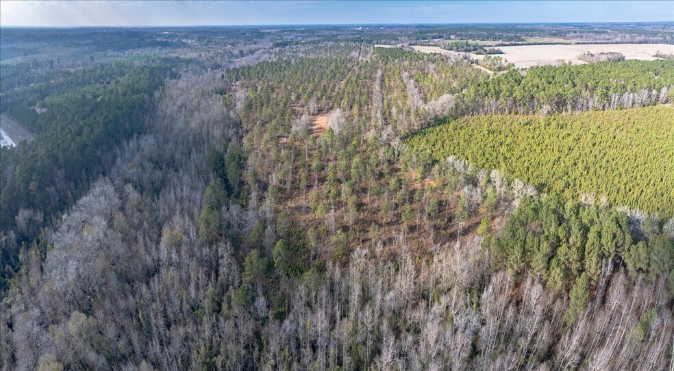 More Photos Of 3246 Belleville Rd, Orangeburg Land For Sale
